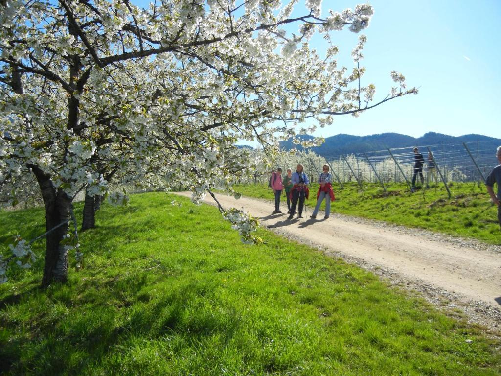 Appartamento Haus Am Blauenbach Schliengen Esterno foto