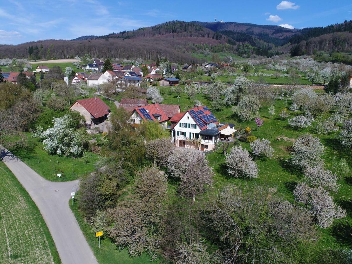 Appartamento Haus Am Blauenbach Schliengen Esterno foto